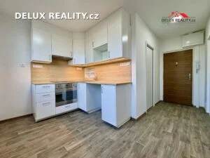 Byt 1+1 ulice Vídeňská třída – fotka 1