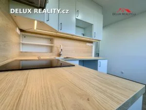 Byt 1+1 ulice Vídeňská třída – fotka 3