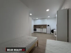 Pronájem bezbariérového bytu 1+kk, 25 m², K Suchopádu 12, Znojmo 4 – Přímětice – fotka 6